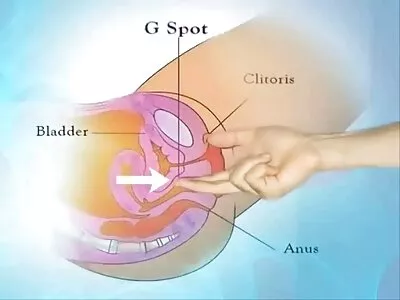 یک جفت عاشق عاشق در سکس مخفی ماساژ یک اتاق رختکن می زنند